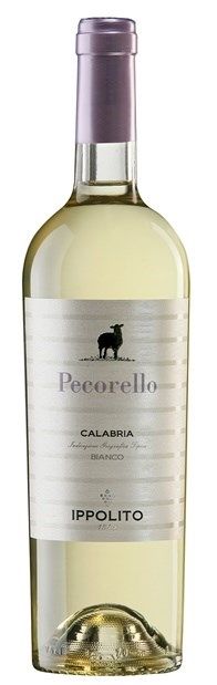 Ippolito 1845 'Pecorello', Calabria 2022 75cl - Buy Ippolito 1845 Wines from GREAT WINES DIRECT wine shop