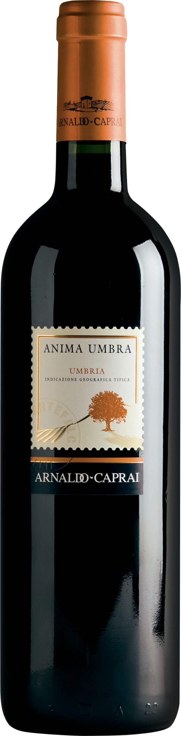 Arnaldo Caprai Anima Umbra Rosso 2019 75cl - Buy Arnaldo Caprai Wines from GREAT WINES DIRECT wine shop