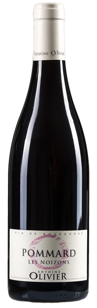 Antoine Olivier, Les Noizons, Pommard 2022 75cl - Buy Antoine Olivier Wines from GREAT WINES DIRECT wine shop