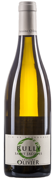 Antoine Olivier, 'Saint Jacques', Rully  2022 75cl - Buy Antoine Olivier Wines from GREAT WINES DIRECT wine shop