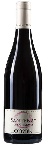 Antoine Olivier, Les Charmes, Santenay 2022 75cl - Buy Antoine Olivier Wines from GREAT WINES DIRECT wine shop