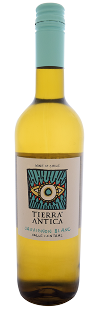 Tierra Antica, Valle Central, Sauvignon Blanc 2022 75cl - Buy Tierra Antica Wines from GREAT WINES DIRECT wine shop