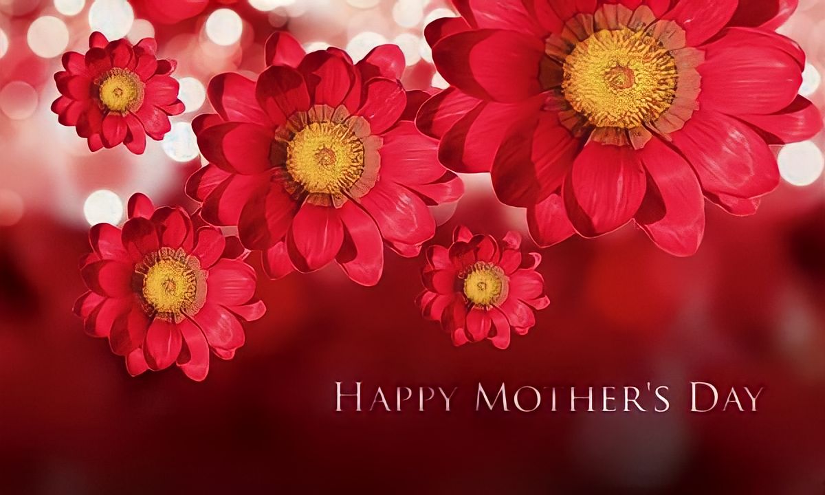 Mothers Day - Buy Gift Cards Wines from GREAT WINES DIRECT wine shop